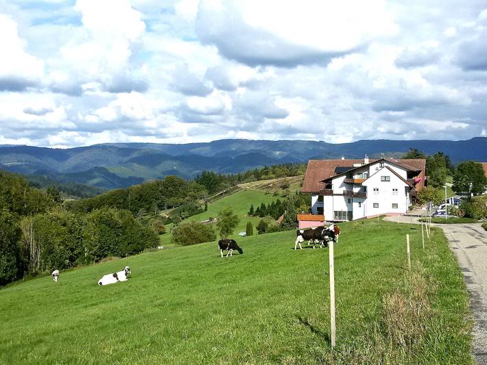 Hotel für 2 Personen, mit Terrasse und Garten sowie Sauna in Oppenau - 3