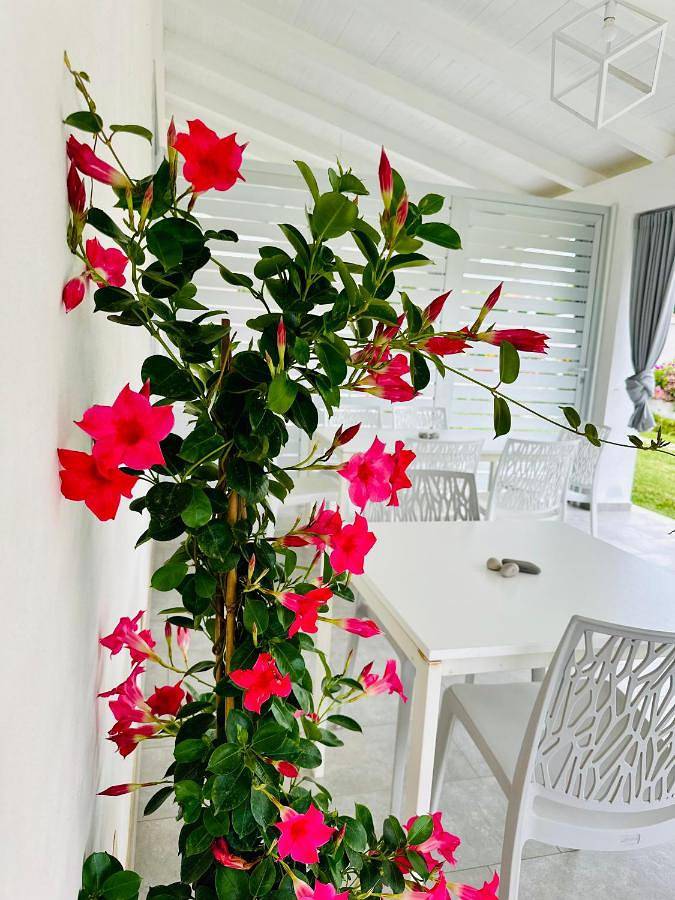 Chambre d’hôte pour 4 personnes, avec vue et jardin, adapté aux familles à Santa Maria di Castellabate - 4