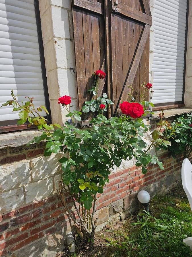 Four-Bedroom House in Mailly-Maillet, Région d'Amiens