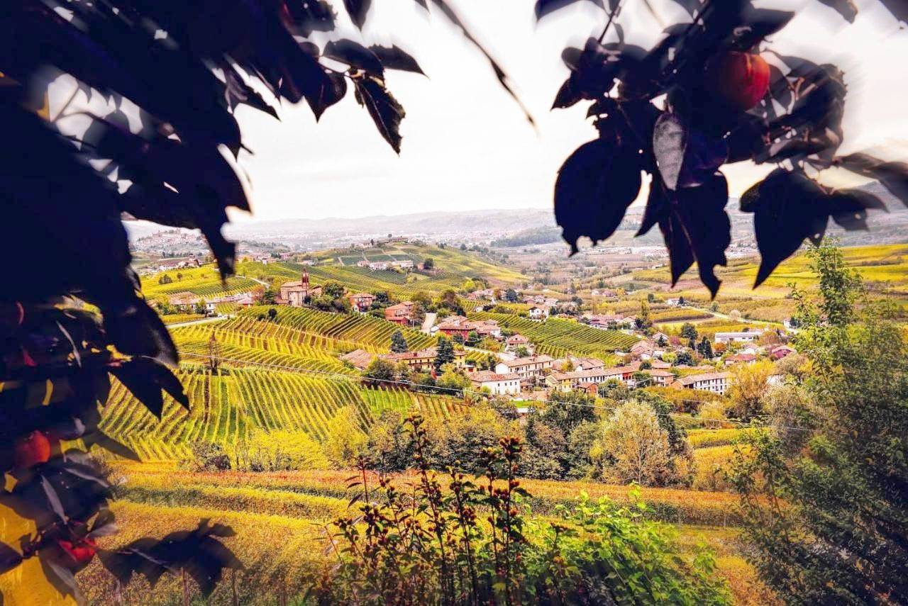 Ganze Wohnung, Sul Bric Dei Capalot in La Morra, Langhe