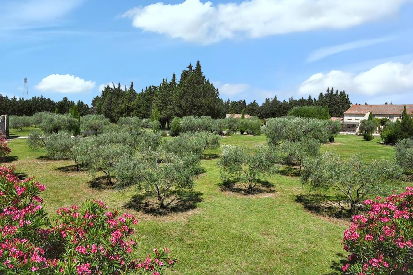 Apartamento entero, Amplio apartamento en Monteux con piscina compartida in Monteux, Vaucluse