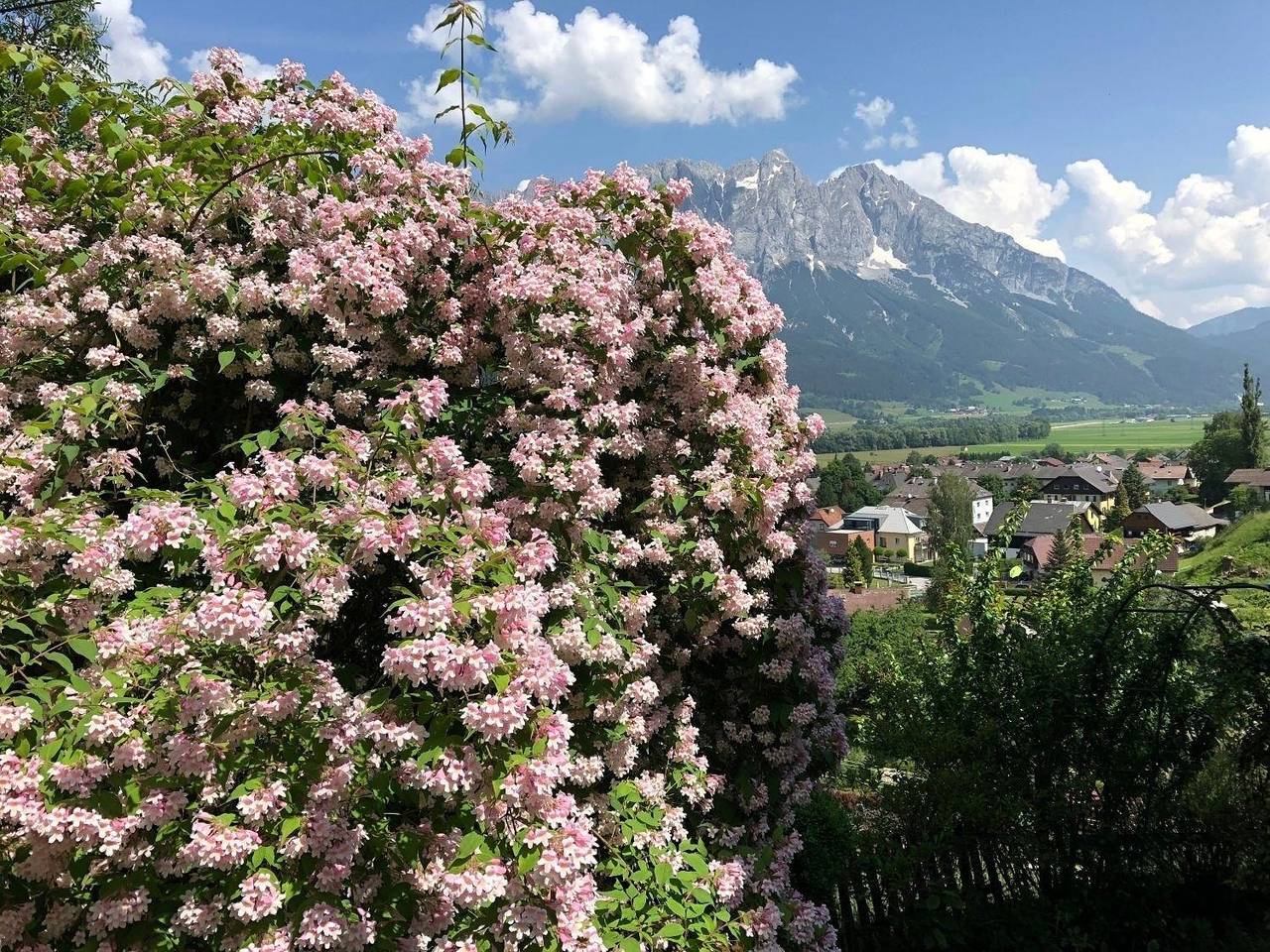 Ganze Ferienwohnung, Grimming Appartement " Schladming" in Rottenmanner und Wölzer Tauern, Öblarn