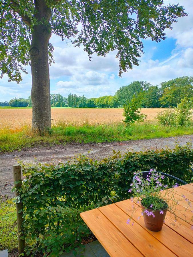 Chambre d’hôte pour 2 personnes, avec vue ainsi que jardin et terrasse à Beernem - 4