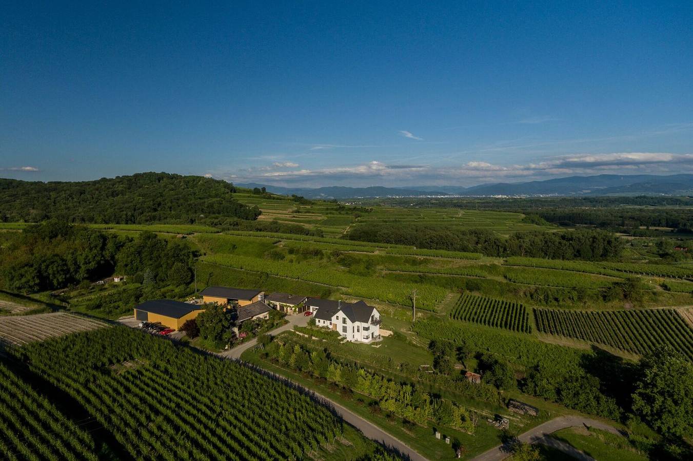 Ganze Ferienwohnung, Maienbrunnenhof - Lenzenberg, 38 qm, 1-2 Personen in Ihringen, Kaiserstuhl
