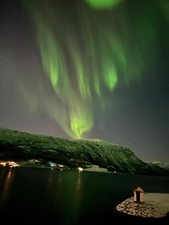 Malangen Arctic Sealodge Cabin 10 in Balsfjord