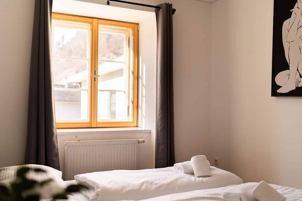 Ganze Wohnung, Homy Bludenz Alpine Panorama - Appartement/Fewo, Bad, Wc, 2 Schlafräume in Bludenz, Verwall