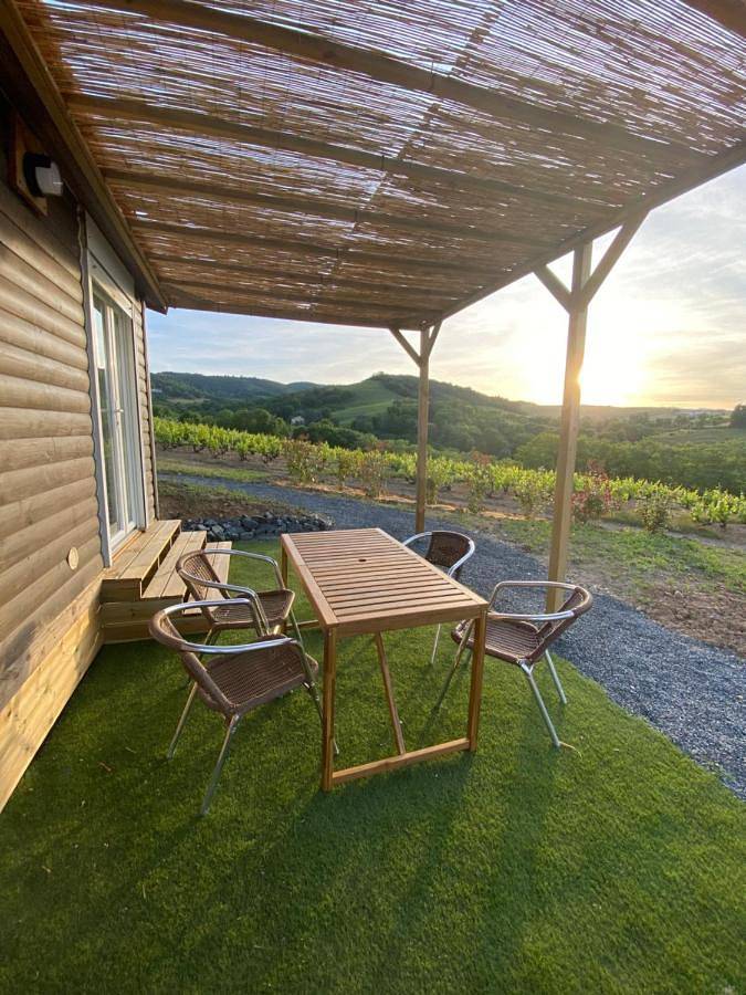Location de vacances pour 4 personnes, avec jardin ainsi que terrasse et vue, animaux acceptés à Salles-Arbuissonnas-en-Beaujolais