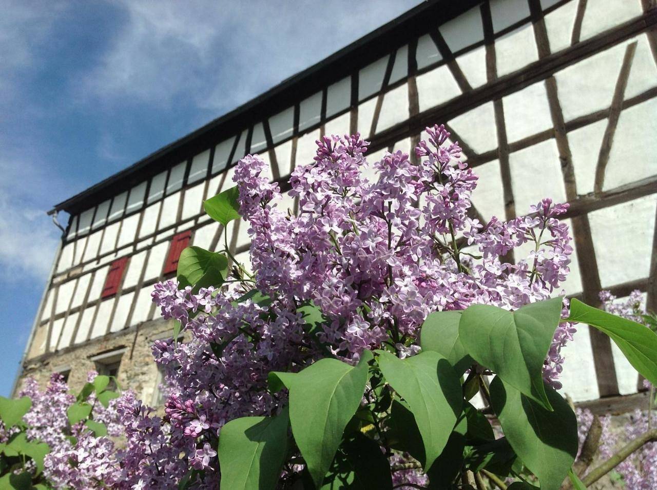 Gut Bunt Ferienhaus in Runkel, Landkreis Limburg-Weilburg