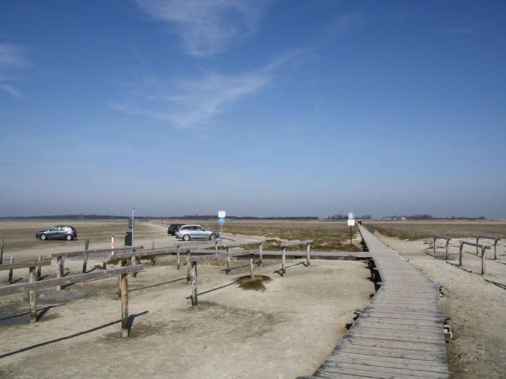 Ferienhaus für 8 Personen, mit Terrasse und Garten in St. Peter-Ording, Halbinsel Eiderstedt