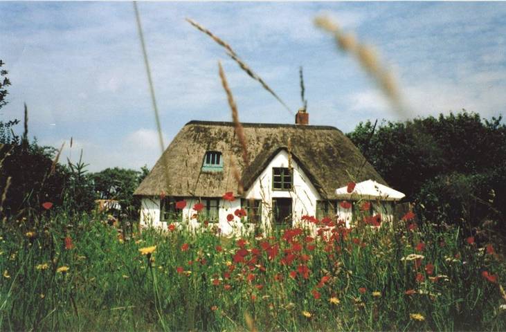 Ferienhaus für 4 Personen, mit Garten und Terrasse sowie Ausblick in St. Peter-Ording - 2
