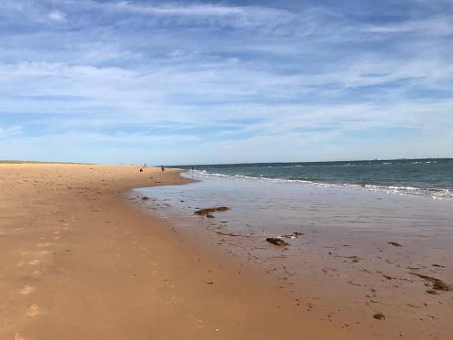 Camping Le Sous Bois - Mobilhome 6 personas - Pacífico (llega el domingo) in La Cotinière, Saint-Pierre-d'Oléron