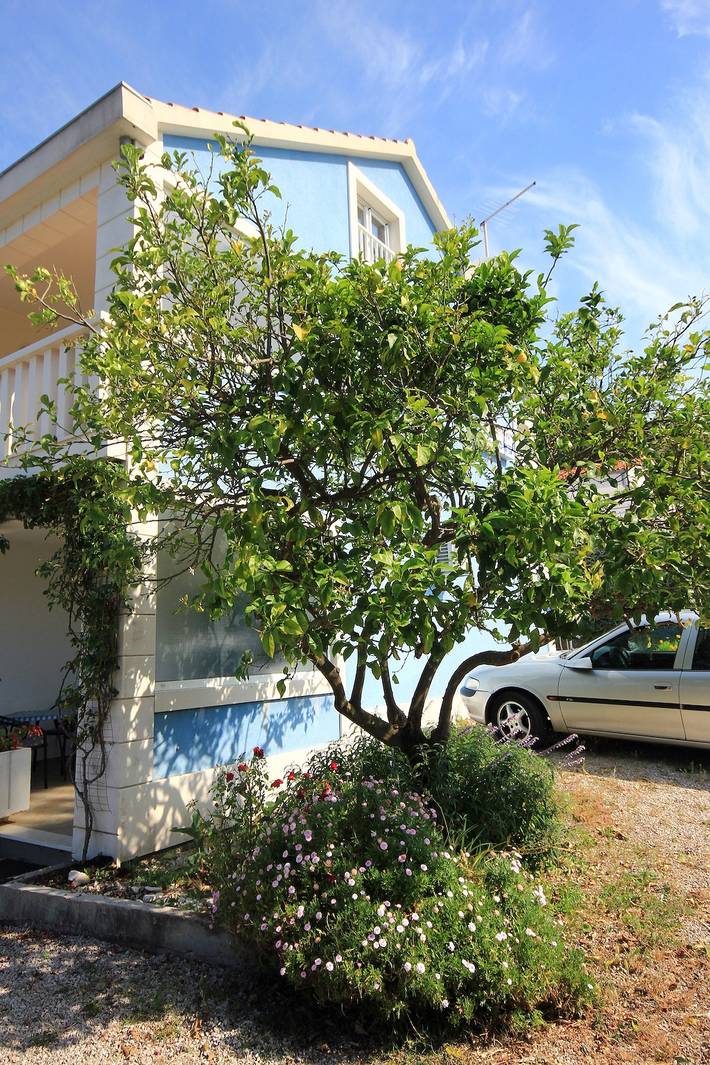 Ganze Wohnung, Studio Appartement mit Terrasse Viganj, Peljesac -b in Viganj, Dubrovnik-Neretva