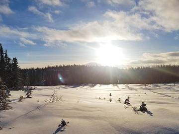 Feriehus til 4 Personer i Sigdal , Viken, Bilde 3