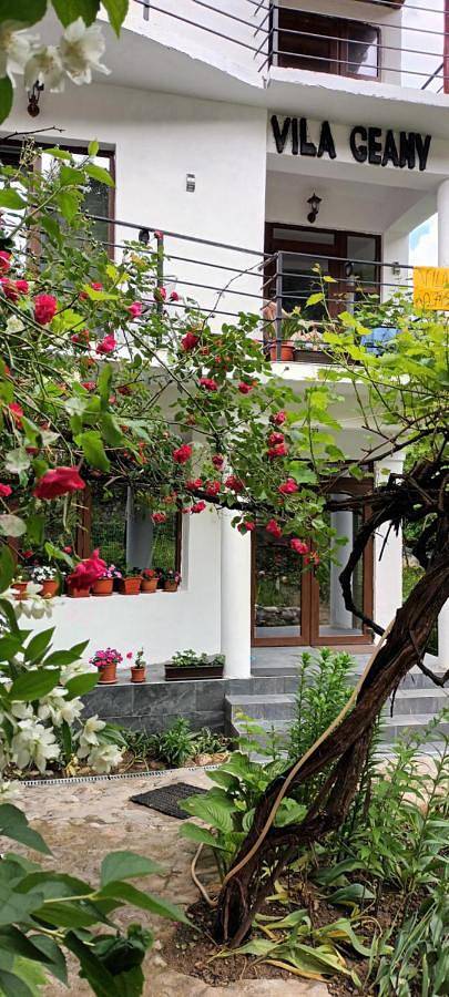 Maison d’hôte pour 2 personnes, avec vue et jardin en Roumanie - 4