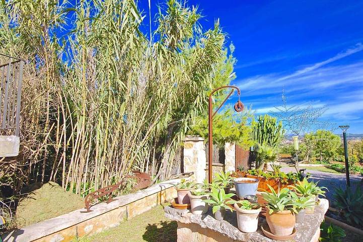 44252 Finca Son Homar in Petra (Mallorca), Mallorca Inselmitte