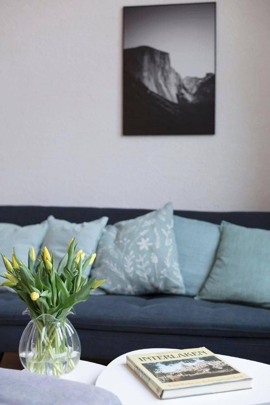 Ganze Wohnung, Loft Apartment "Henrik" Höhenmatte in Interlaken, Thunersee