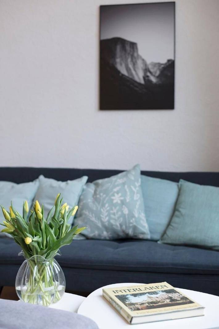 Apartamento entero, Loft Apartment "Henrik" Höhenmatte in Interlaken, Lago de Thun