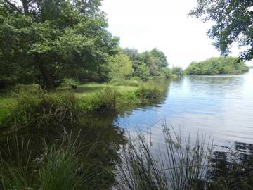 Gîte for 4 People in Léon (France), Landes, Photo 4