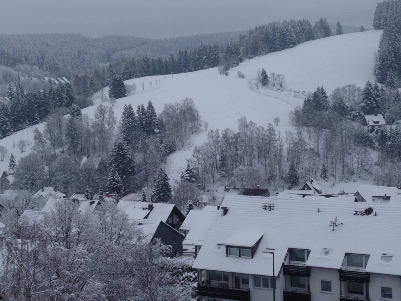 Brockenblick H-8-2 - Brockenblick H-8-2 in Altenau, Harzvorland