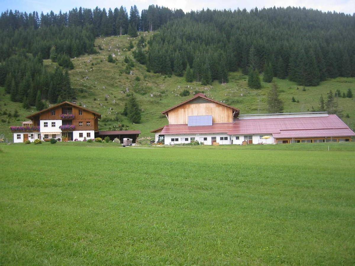 Ganze Wohnung, Lenzerhof in Grän, Allgäuer Alpen (Österreich)