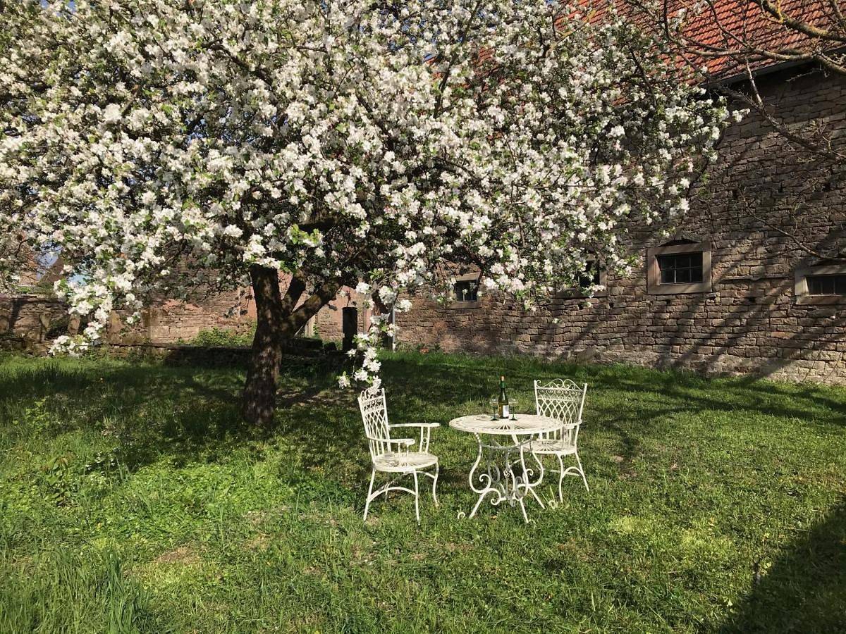 Holiday Home in Petersbach, Région de Saverne