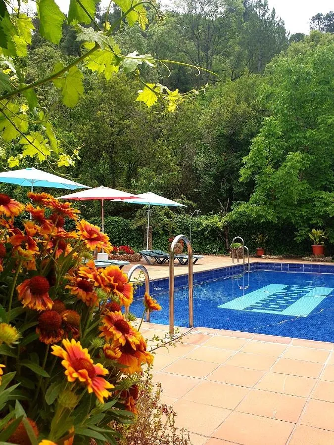 Apartamento de vacaciones para 6 personas, con jardín además de terraza y piscina - 1