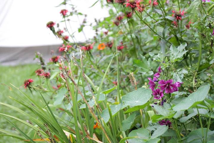 Zelt für 4 Personen, mit Garten und Ausblick in Rheinland-Pfalz - 3