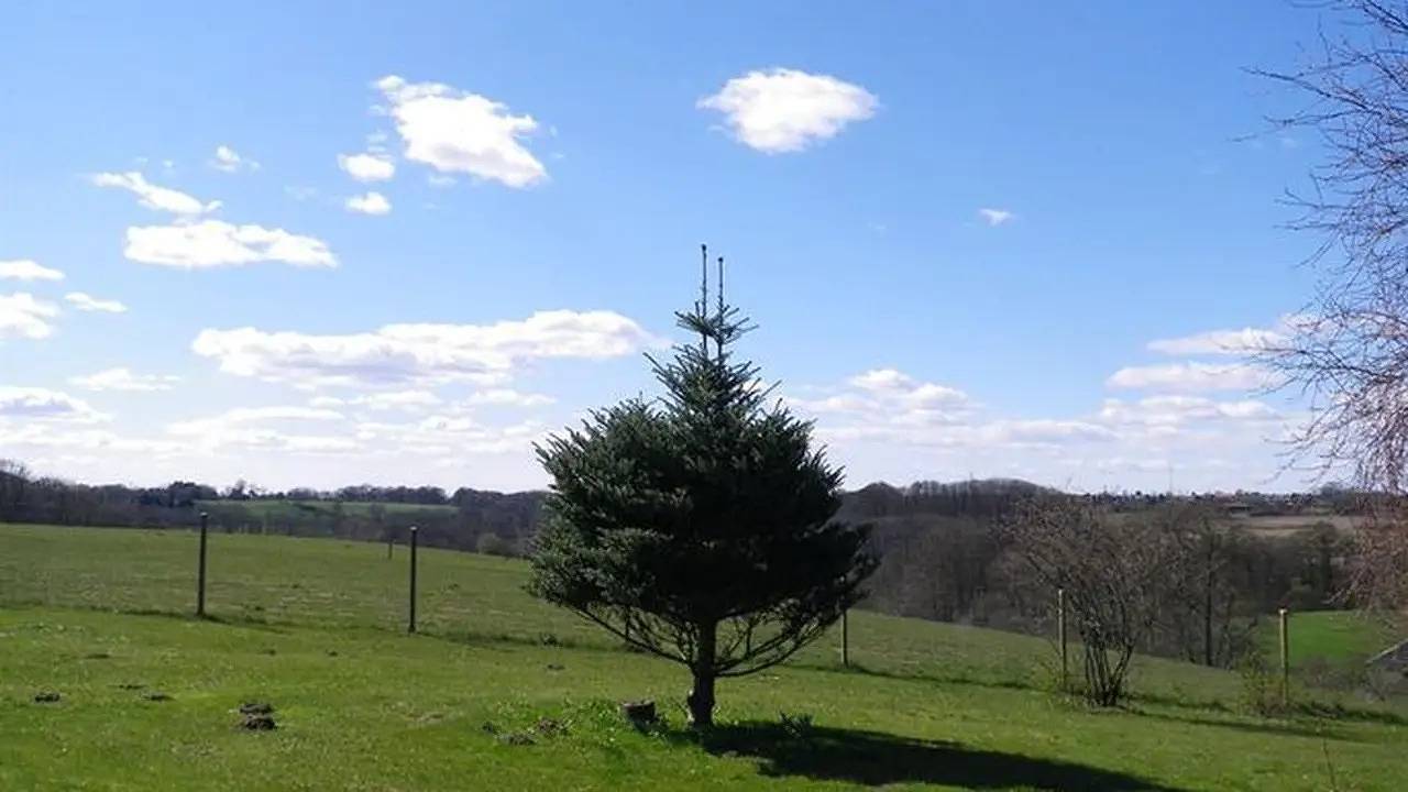 Ganze Ferienwohnung, Ferienwohnung für 4 Personen (40 m²) in Harrislee in Harrislee, Flensburger Förde