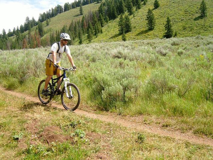 Vacation rental for 6 people, with yard in Jackson (WY)