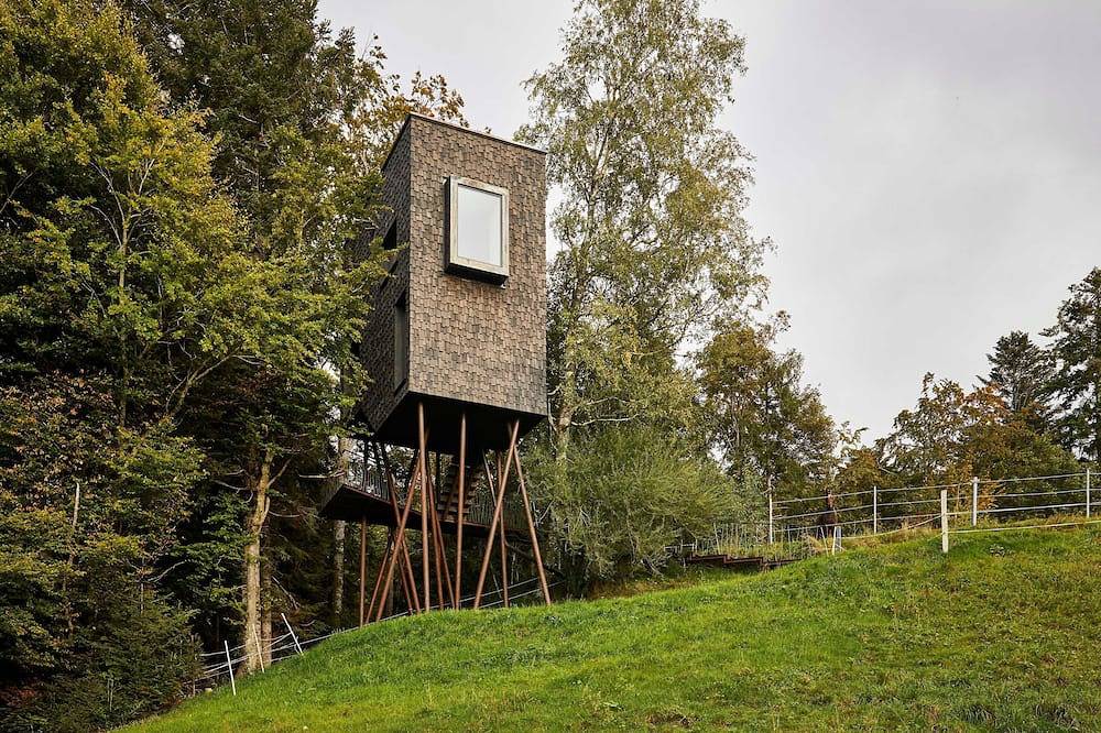 Erlebnisbaumhaus, Familie Baldauf - Baumhaus in Sulzberg (Österreich), Bodensee-Vorarlberg