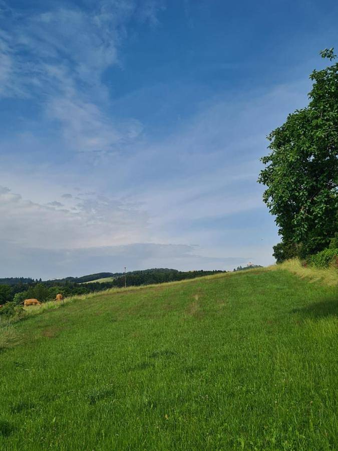 Double Room with Shared Bathroom in Drees, Vulkaan-Eifel