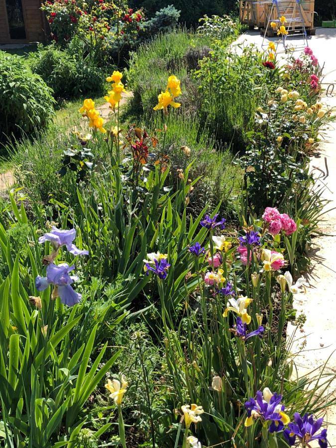 Gîte pour 3 personnes, avec terrasse et vue ainsi que sauna et jardin à Bois-Jérôme-Saint-Ouen - 2