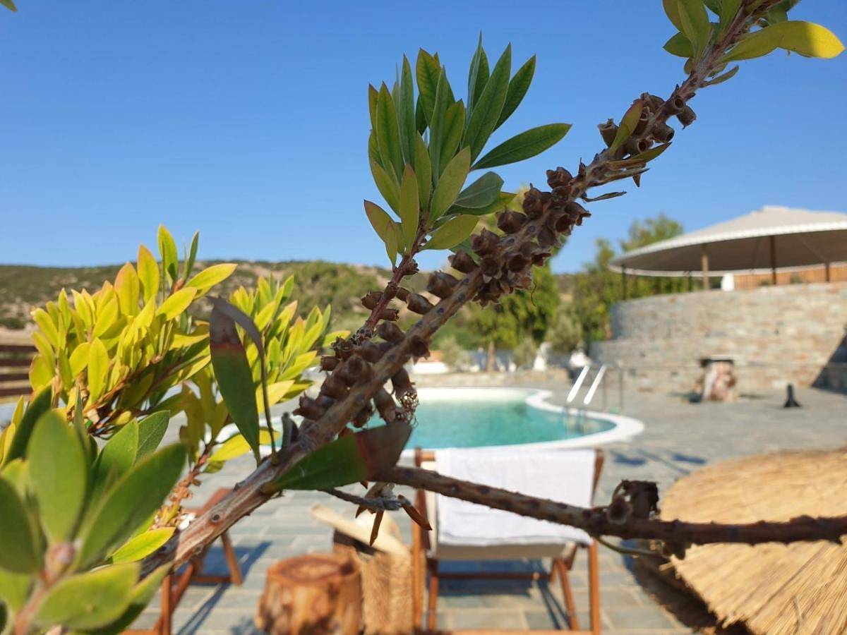 Cabin with Shared Bathroom in Syros