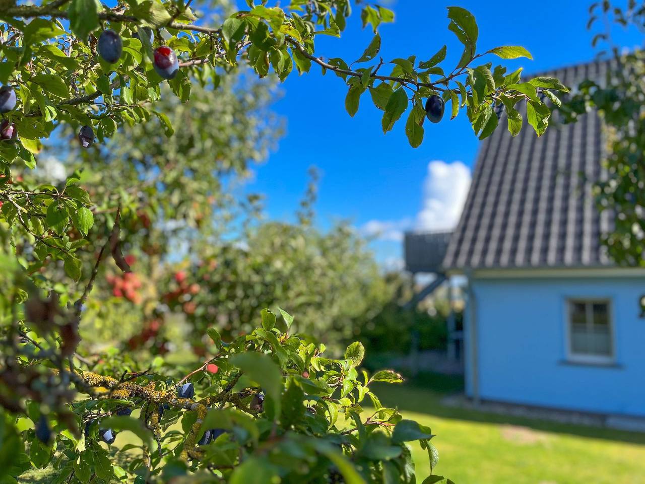 Ganze Ferienwohnung, Ferienwohnungen im Blu Hus - Ferienwohnung 4 in Freest, Vorpommern