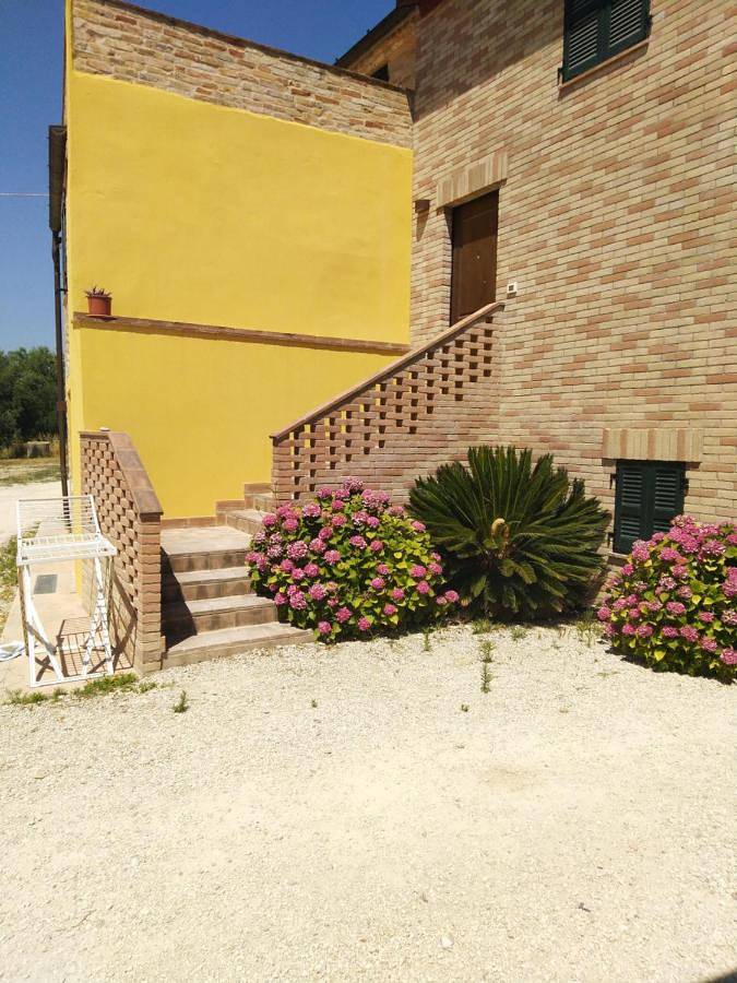 Location de vacances pour 3 personnes, avec Balcon ainsi que Terrasse et Jardin à Cupra Marittima - 4