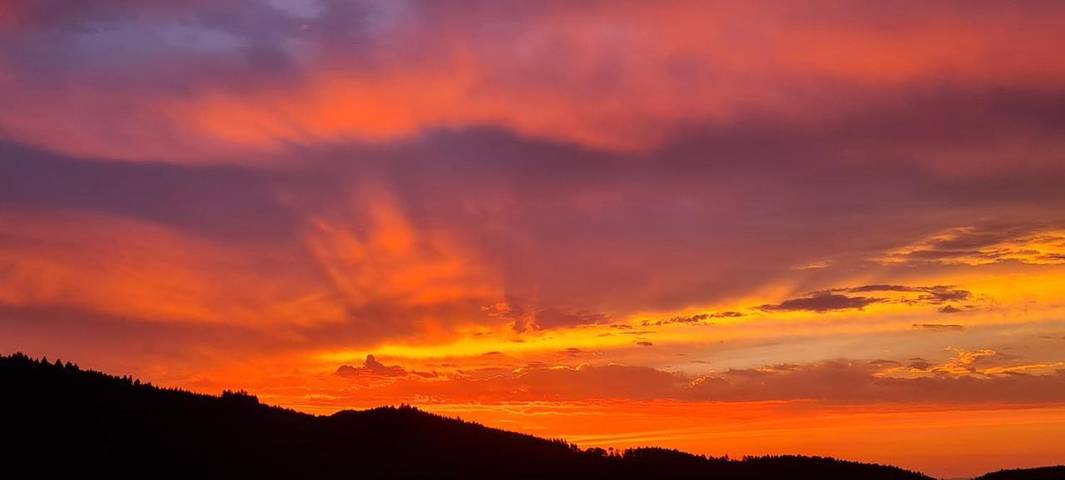 Gîte pour 4 personnes, avec terrasse et vue, animaux acceptés à Thannenkirch - 4