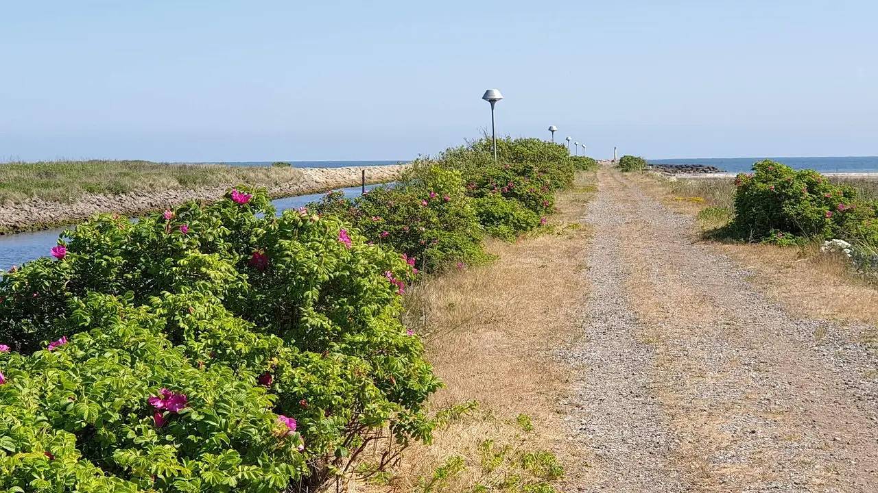 Feriehus for 9 personer med jacuzzi in Sæby, Nordøstjylland