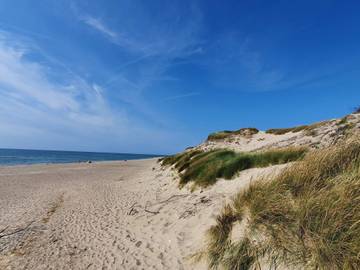 Ferieudlejning til 10 Personer i Sønder Nissum, Ulfborg, Billede 4