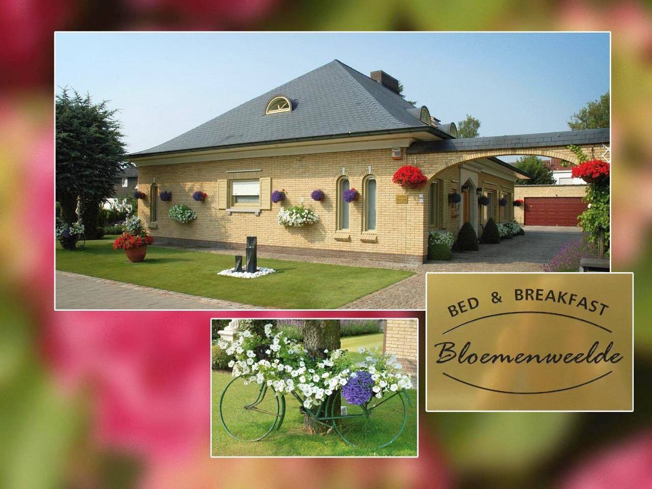 B&B Bloemenweelde in Courtrai, Flandre-Occidentale