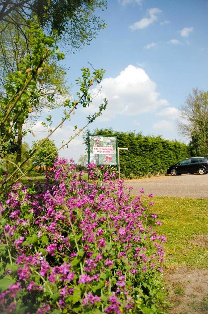 Location de vacances pour 2 personnes, avec Terrasse et Jardin dans Zélande (Brabant du Nord)