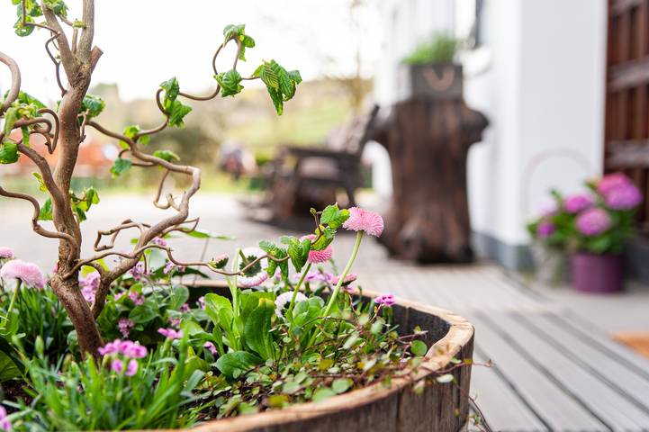 Pension für 6 Personen, mit Balkon und Balkon/Terrasse sowie Terrasse und Garten im Siegerland - 4