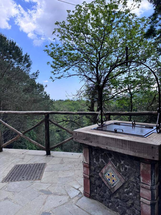 Gîte pour 14 personnes, avec vue et jardin, animaux acceptés à Nicolosi - 3