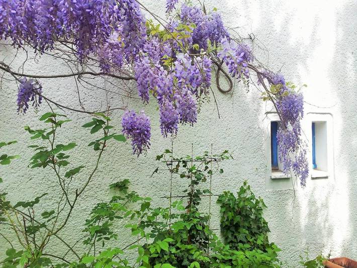 Ferienwohnung für 5 Personen, mit Garten in Westend Berlin
