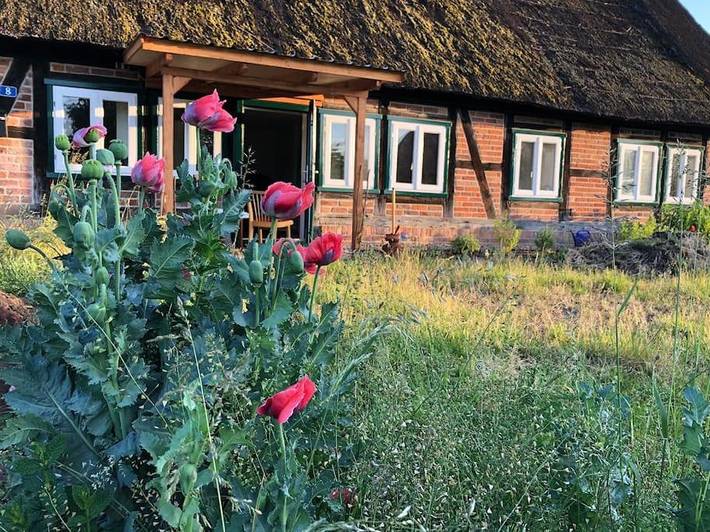 Ferienhaus für 6 Personen, mit Terrasse und Garten sowie Ausblick in Gartow