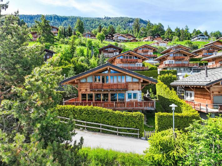 Ferienhaus für 8 Personen, mit Garten in Nendaz - 2