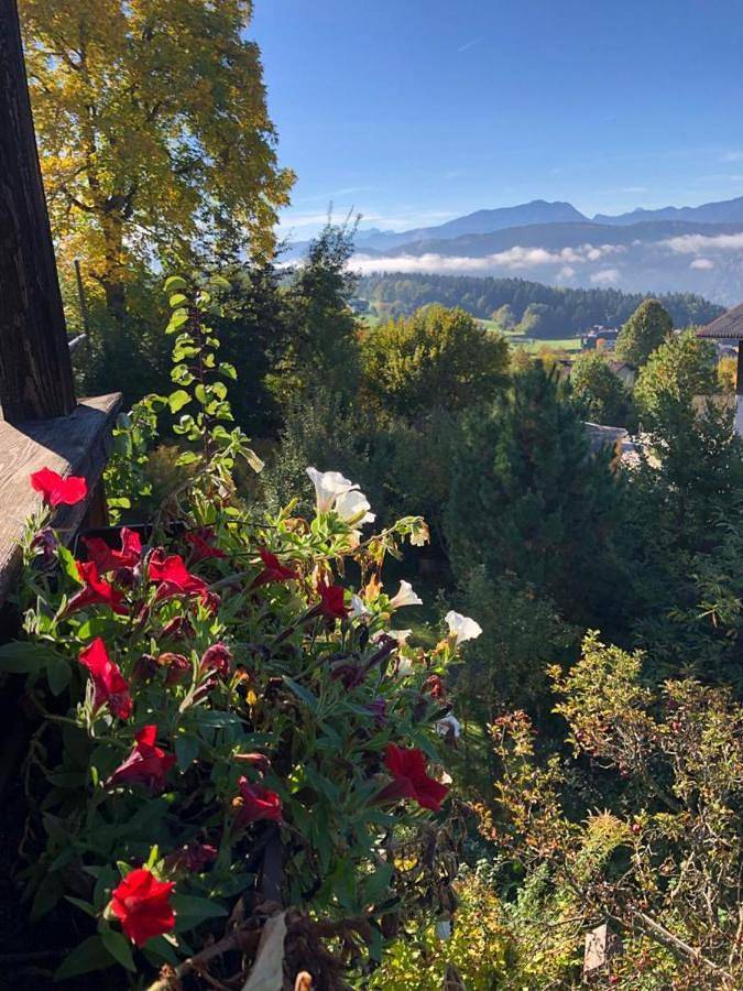 Sapplalm in Millstatt, Bezirk Spittal an der Drau