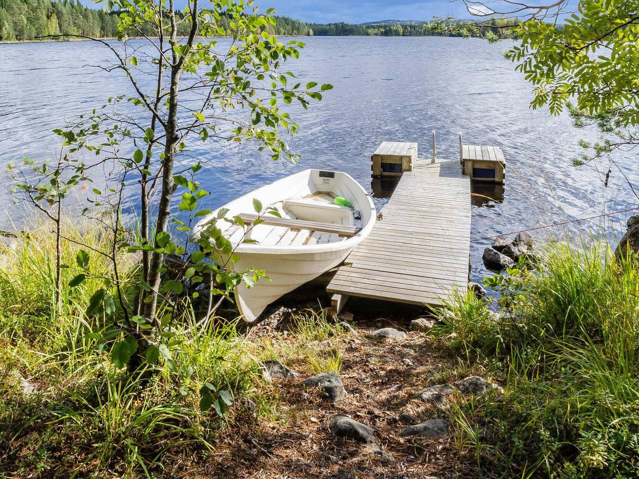 Metsätähti in Pielinen