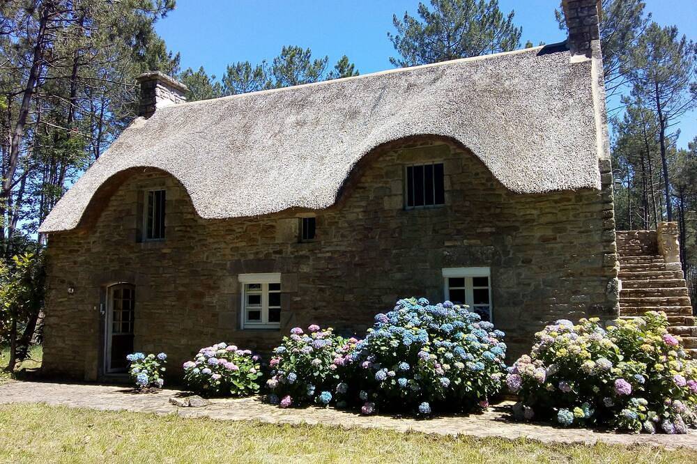 Seasonal rental of a Breton cottage in the heart of the forest in Theix, Côte des Mégalithes