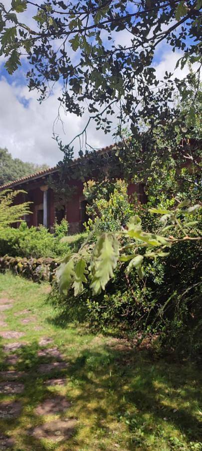 Apartamento de vacaciones para 2 personas, con terraza y piscina además de jardín y jacuzzi en Extremadura - 2