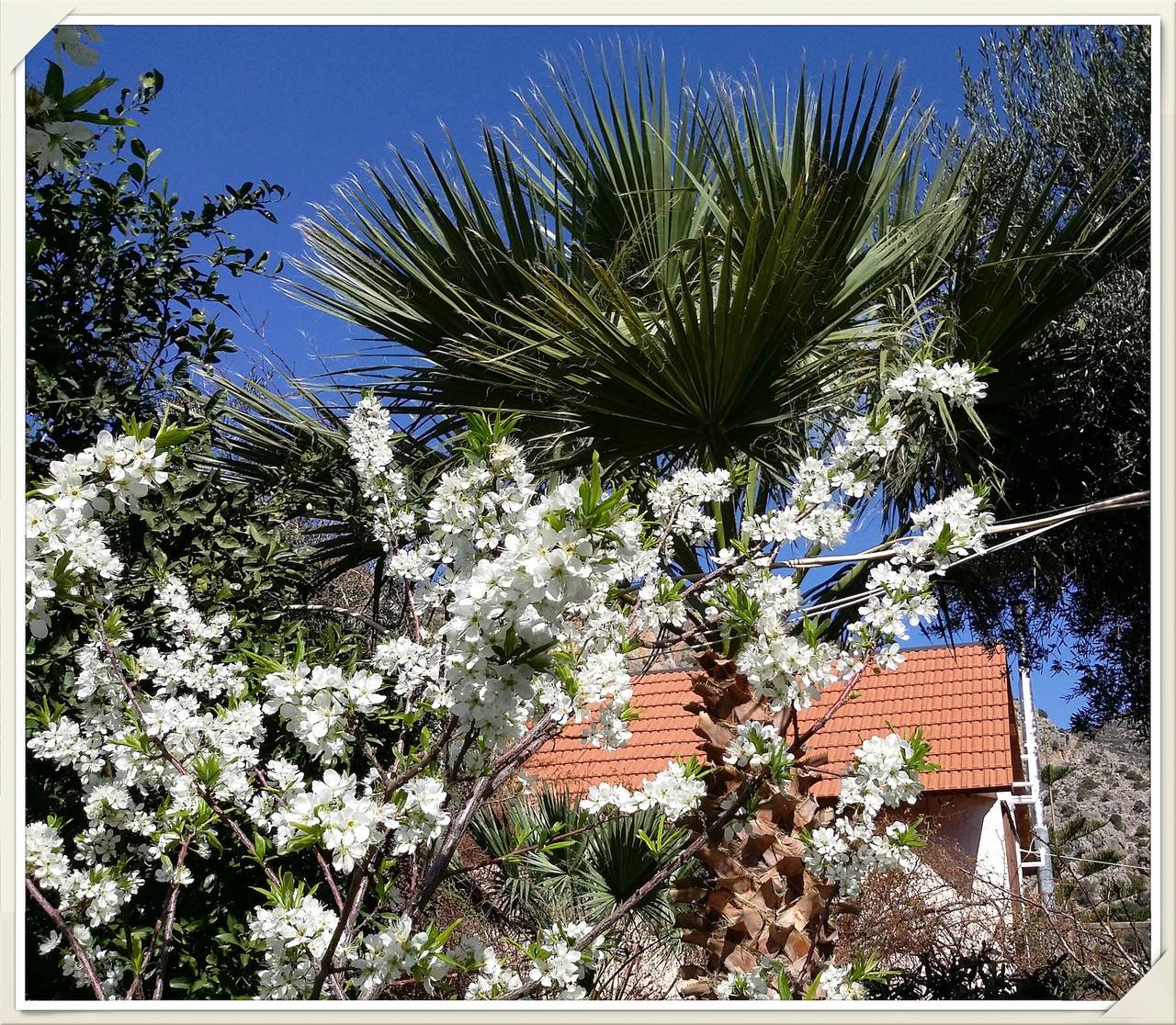 Cottage Sleeps 3 with Sea Views and Parking in Palaiochora, Chania und Umgebung
